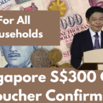 Singapore S$300 CDC Voucher Confirmed For All Households: Eligibility and Claim Process Explained