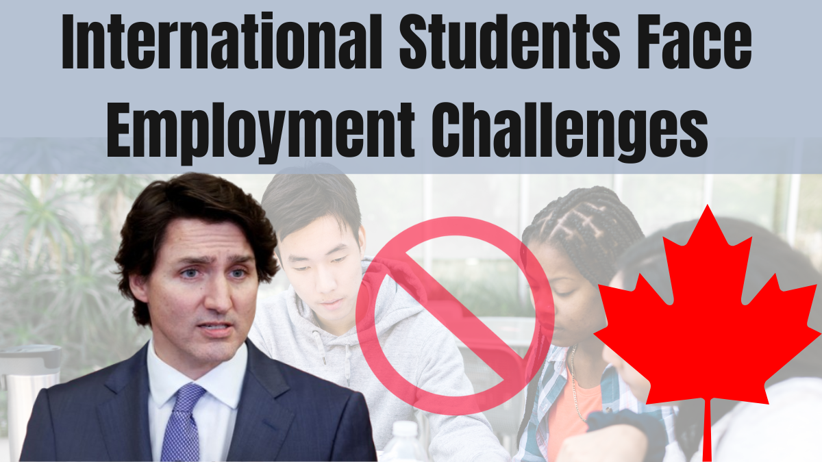 Canada’s International Students Face Employment Challenges