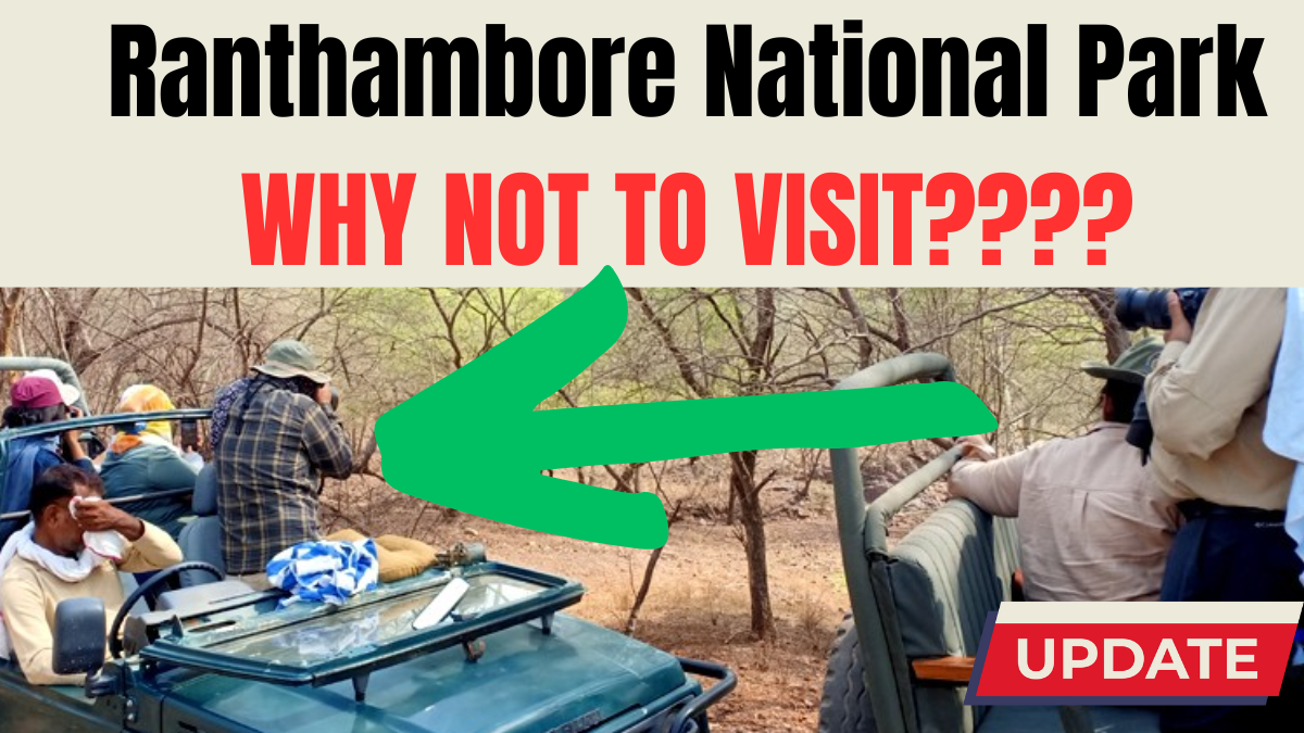 Reasons to Visit Ranthambore National Park