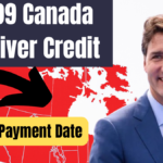 7,999 Canada Caregiver Credit