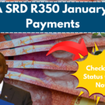 SASSA SRD R350 February 2025 Payments – Check Your Status Online Now