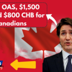 $1,100 OAS, $1,500 GIS, and $800 CHB for Canadians – Fact Check & Payment Details