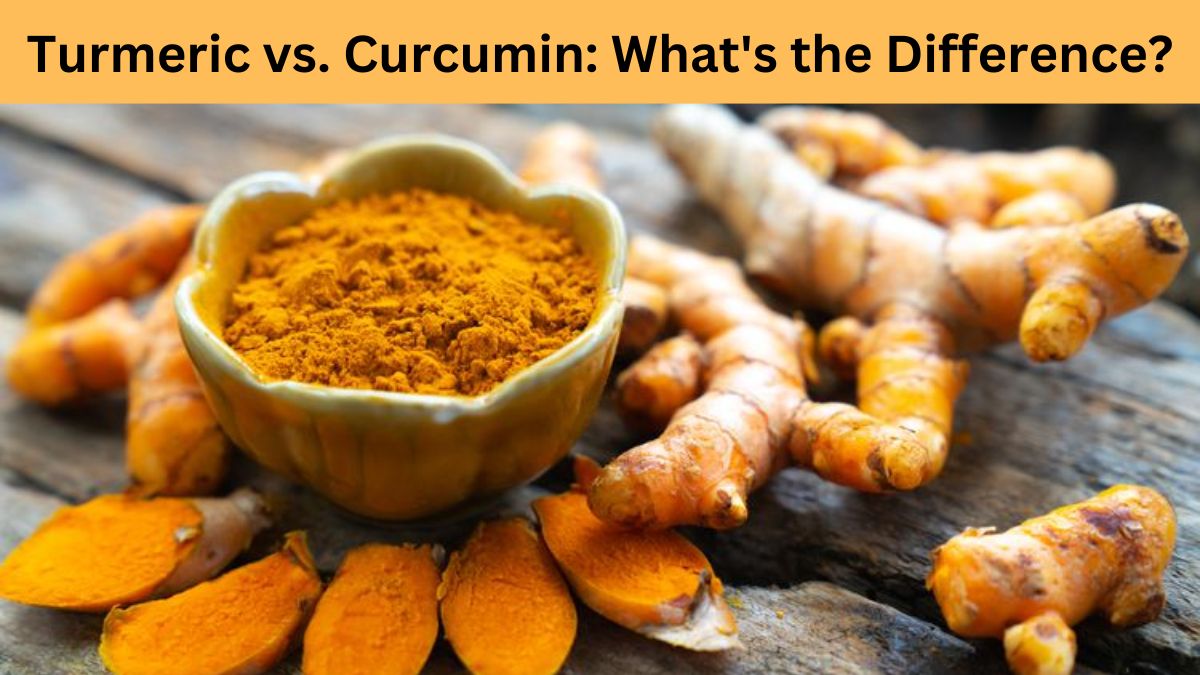 Turmeric vs. Curcumin: Understanding the Key Differences and Health Benefits