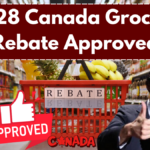 $628 Canada Grocery Rebate Approved – Eligibility, Payment Date & Status Update