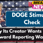 DOGE Stimulus Check? Why Its Creator Wants It to Reward Reporting Waste