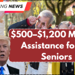 $500–$1,200 Monthly Assistance for US Seniors – Who Qualifies