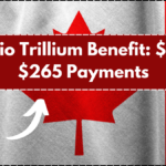 Ontario Trillium Benefit: $172 to $265 Payments – Check Eligibility for Maximum Payout