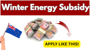 How to Apply for the Winter Energy Subsidy 2025 – Full Guide