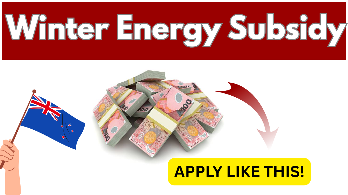 How to Apply for the Winter Energy Subsidy 2025 – Full Guide