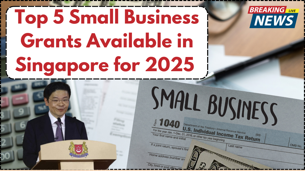 Top 5 Small Business Grants Available in Singapore for 2025 – Full Eligibility & Payout Details